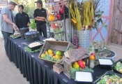 San Diego Catering Blog 5-10 (1)