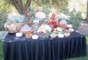 San Diego Catering Blog 5-10 (8)
