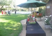 San Diego Catering Blog 6-23 (1)