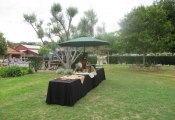San Diego Catering Blog 7-5 (3)